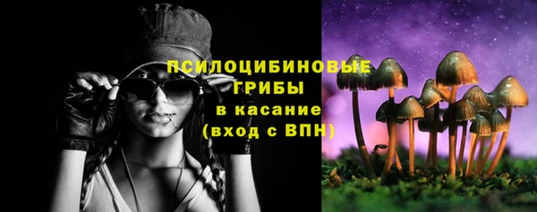 PSILOCYBIN Бронницы